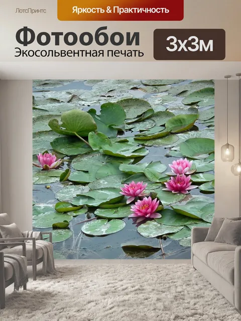 Фотообои Водяные лилии
