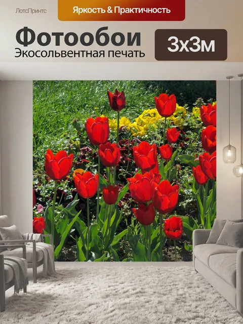 Фотообои Красные тюльпаны