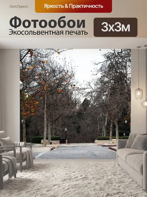 Фотообои UCLA Bruin Прогулка в осень