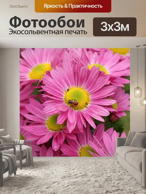Фотообои Розовая маргаритка