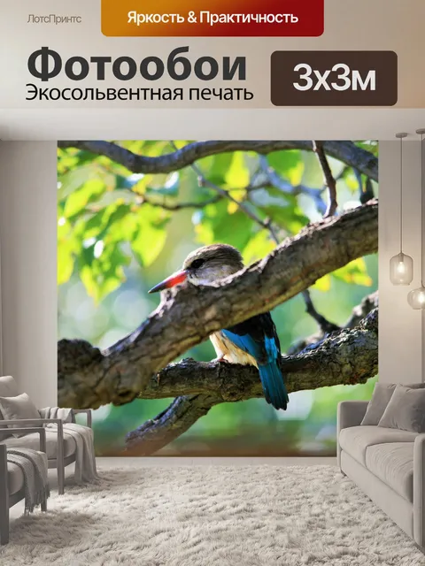 Фотообои коричневый с капюшоном King Fisher (1)