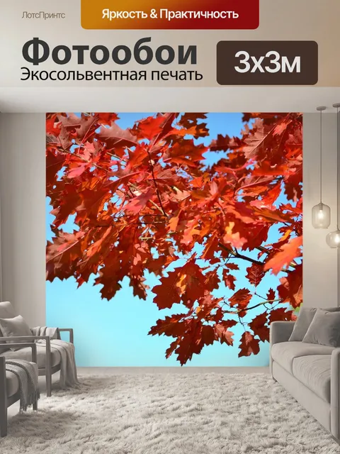 Фотообои Осень