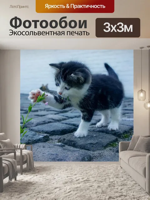 Фотообои Кошка