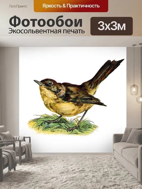 Фотообои Иллюстрация винтажного искусства птиц