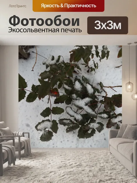 Фотообои Фон