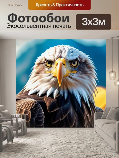 Фотообои с орлом красивый