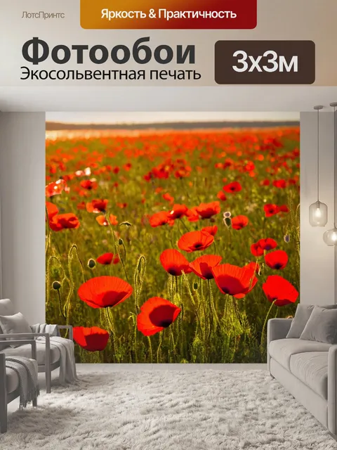 Фотообои утро, цветущее поле с макрами, где утреннее солнце создает яркие акценты на лепестках