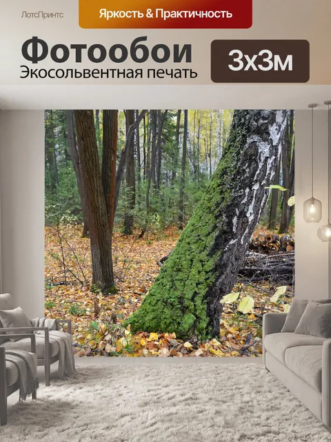 Фотообои Осень
