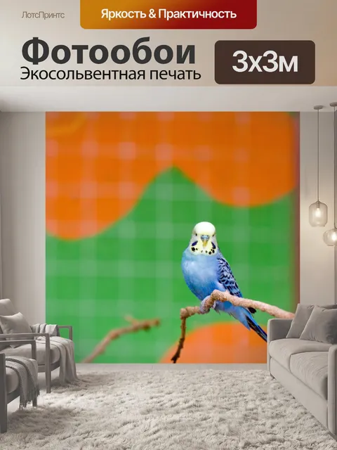 Фотообои Волнистый попугайчик