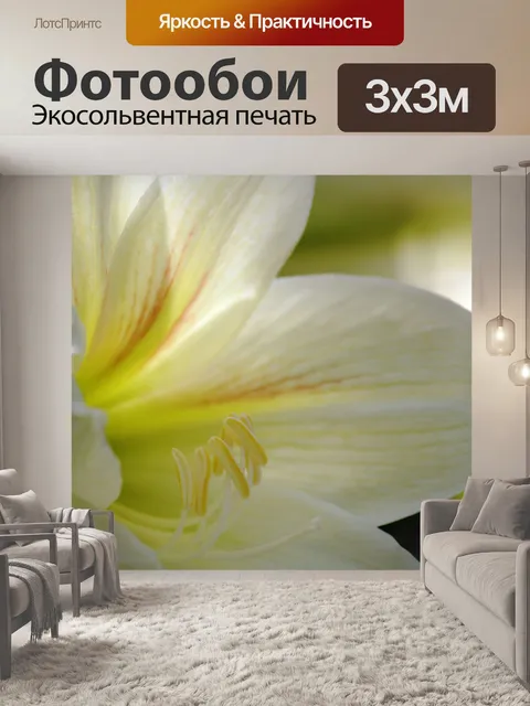 Фотообои белом фоне цветок 3