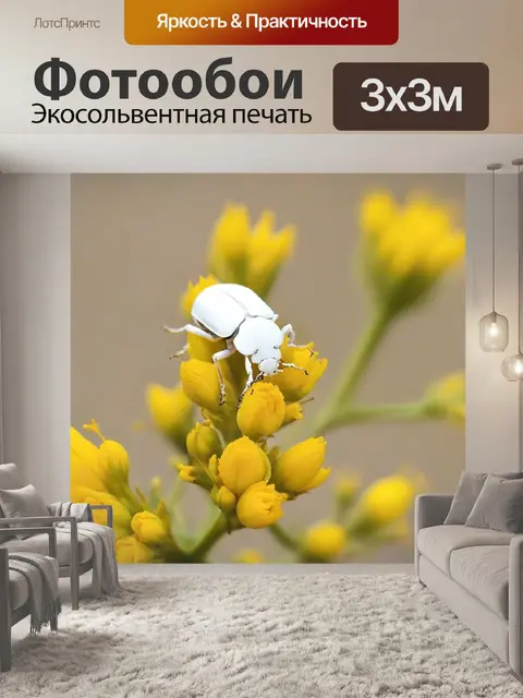 Фотообои белый