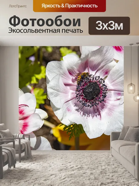 Фотообои мак анемон и пчела
