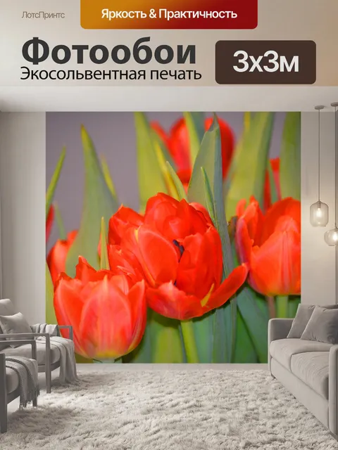 Фотообои Тюльпаны