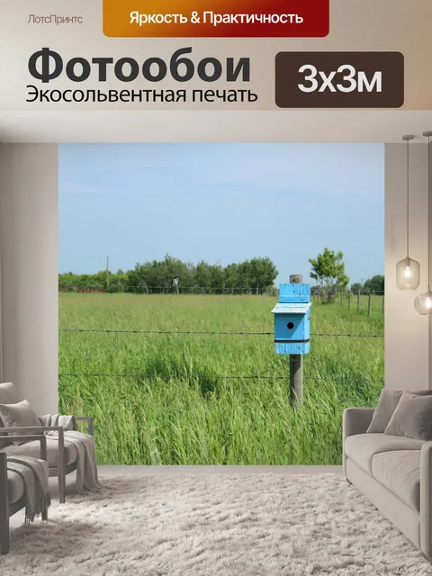 Фотообои Синяя птица дом