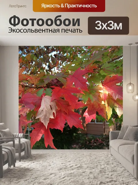 Фотообои Осень