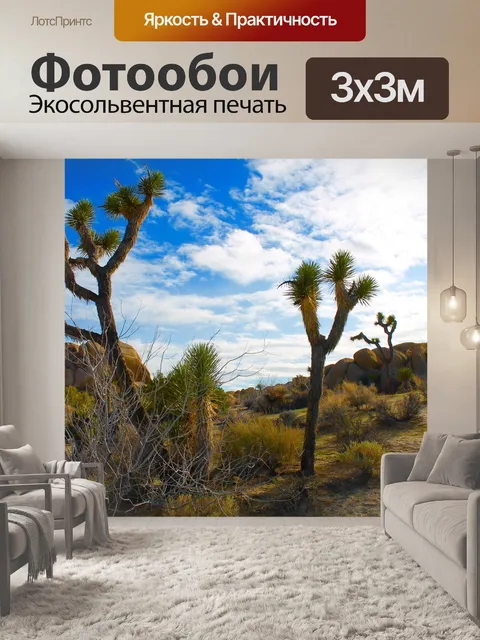 Фотообои Национальный парк джошуа-три