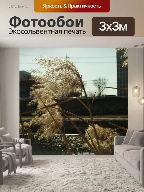 Фотообои Камыши