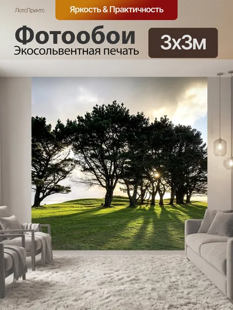 Фотообои Сосны