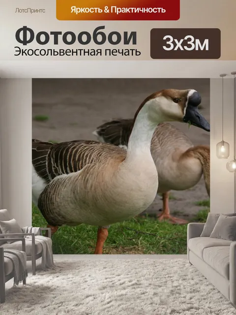 Фотообои Птицы