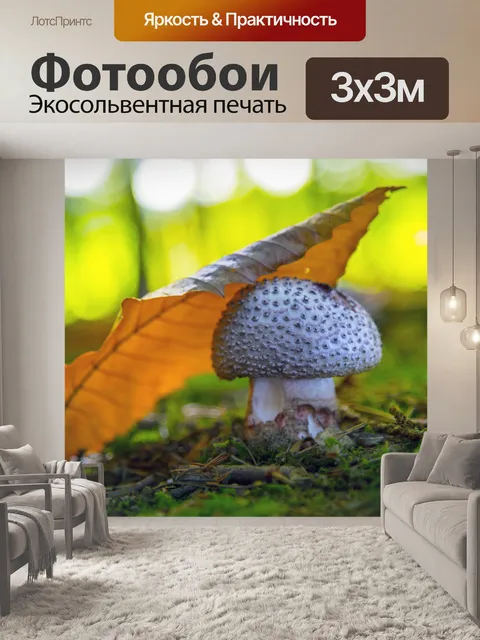 Фотообои грибы