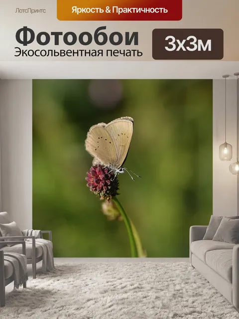 Фотообои Муравейник