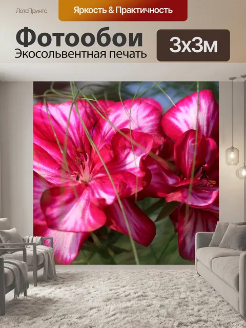 Фотообои Красивый красный и белые цветы