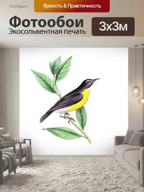 Фотообои Птица