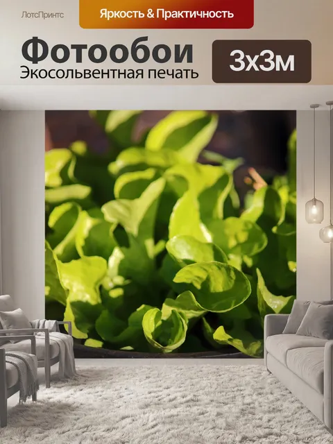 Фотообои молодые зеленые листья салата в горшке