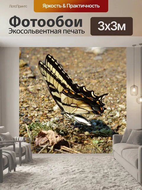 Фотообои Бабочка