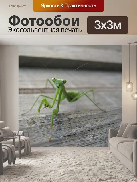 Фотообои Богомол