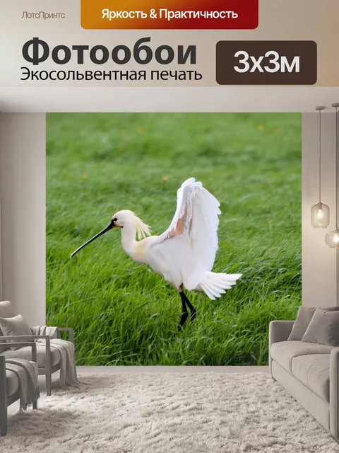 Фотообои Белый колпица 2
