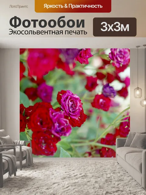 Фотообои Роуз