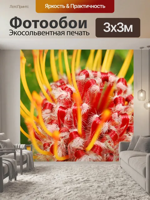 Фотообои Макрос