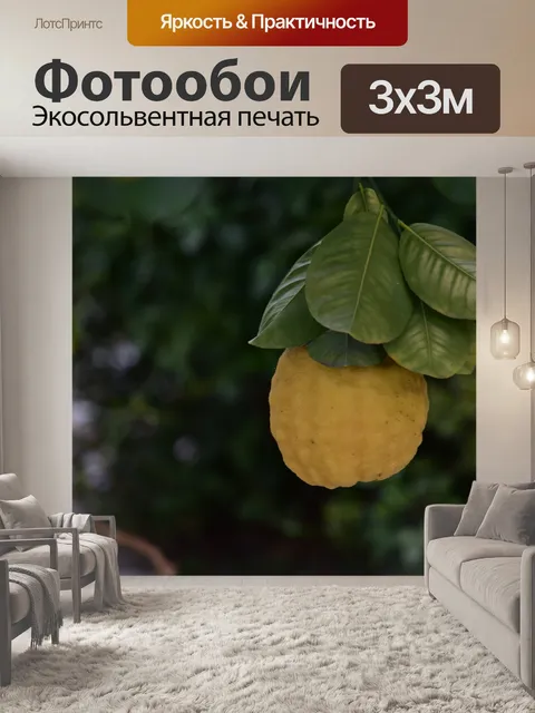 Фотообои Выращивание ухабистого грейпфрута