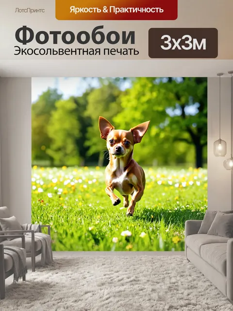 Фотообои чихуахуа, пробегающийся по зеленому лугу, весенние цвета, деревья на заднем плане