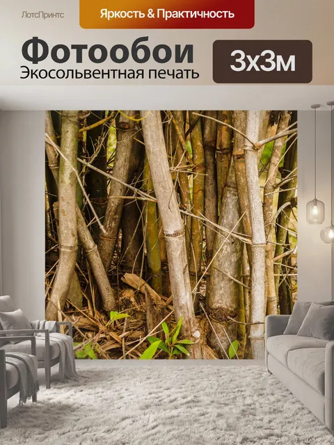 Фотообои Бамбуковый лес природа фон