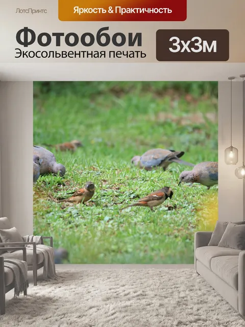 Фотообои птиц, питающихся в саду