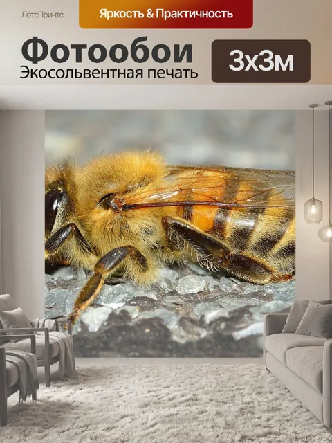 Фотообои Насекомые