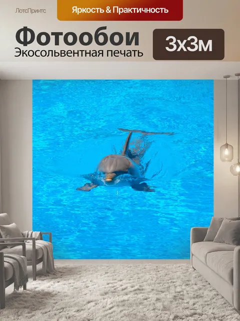 Фотообои Дельфин
