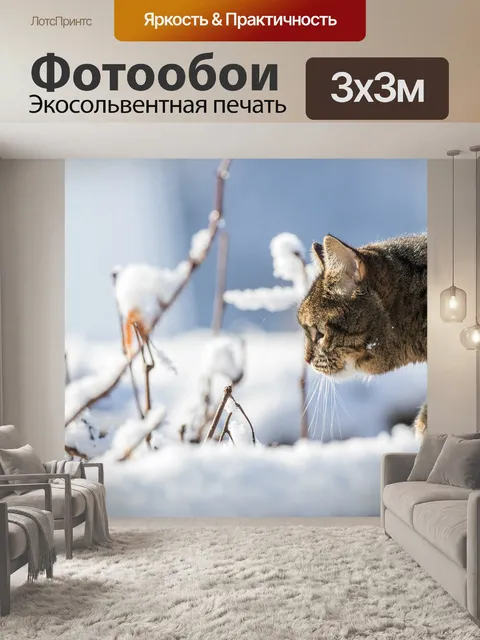 Фотообои Кот