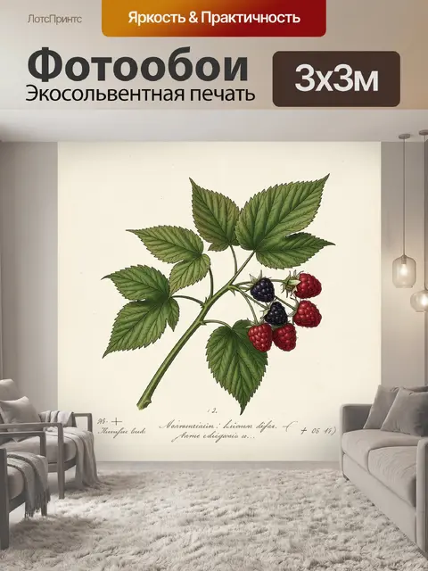 Фотообои Ветвь малины с ягодами
