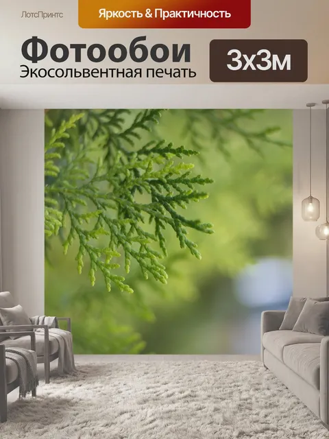 Фотообои Туя