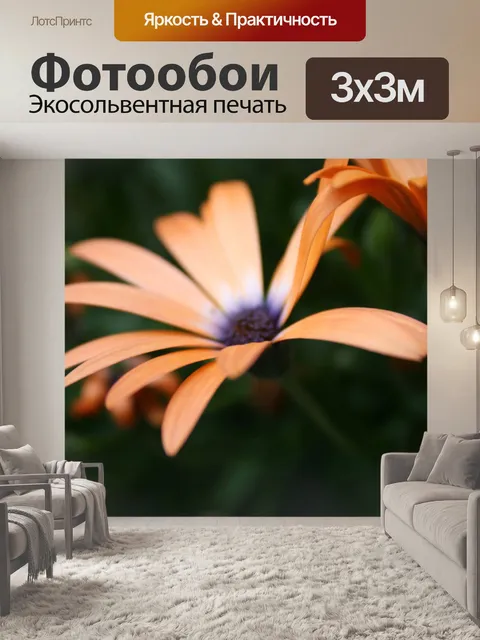 Фотообои Оранжевый