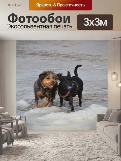 Фотообои Собаки на пляже