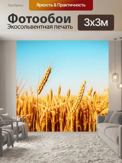 Фотообои летние поля с пшеницей, развевающейся на ветру под ясным голубым небом