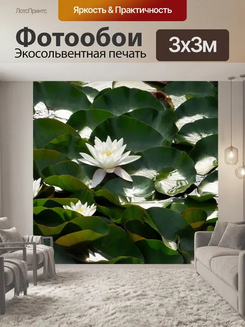 Фотообои Водяные лилии