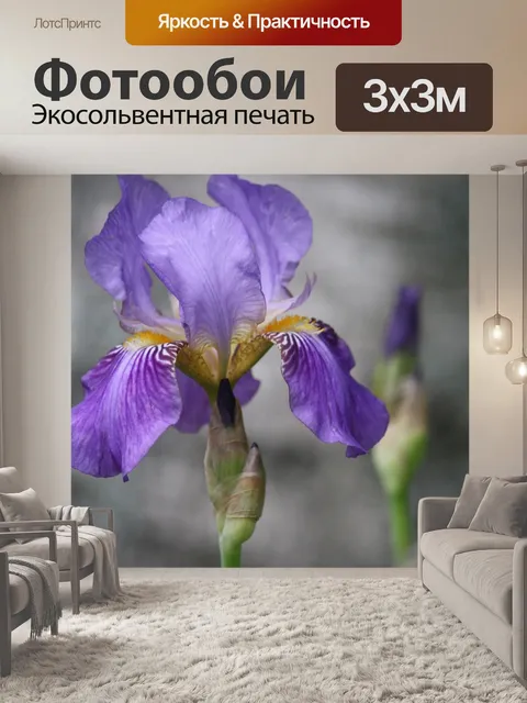 Фотообои Ирис