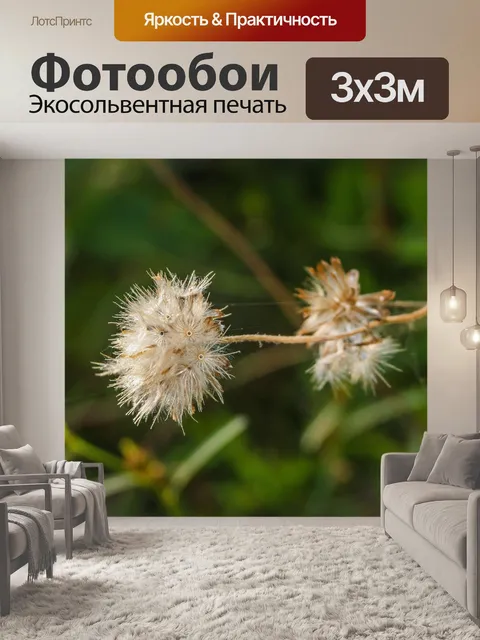 Фотообои Дикий цветок в Таиланде