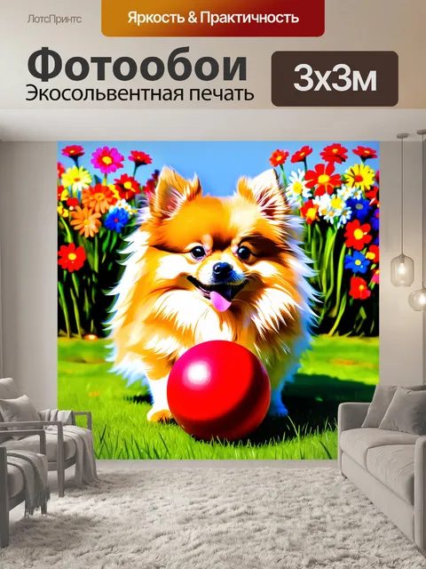 Фотообои забавный померанский шпиц