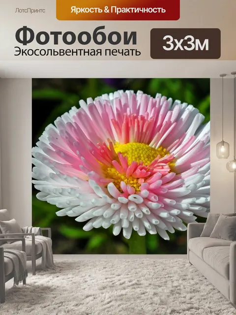 Фотообои Дейзи